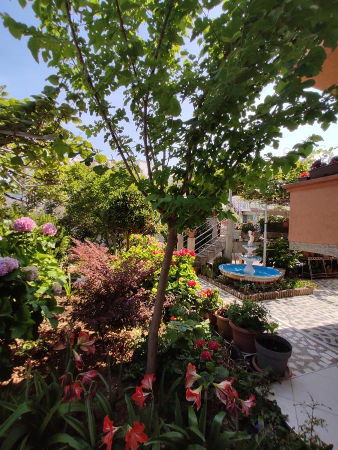 Apartments Baja Ulcinj Eksteriør bilde